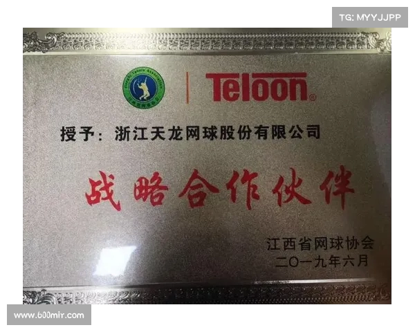 网球赛事口碑分析：探讨各大赛事的观众体验与评价标准
