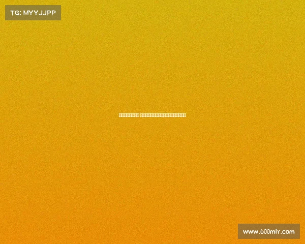 法甲夏季引援盘点 大牌加盟与新星崛起助力联赛竞争力提升