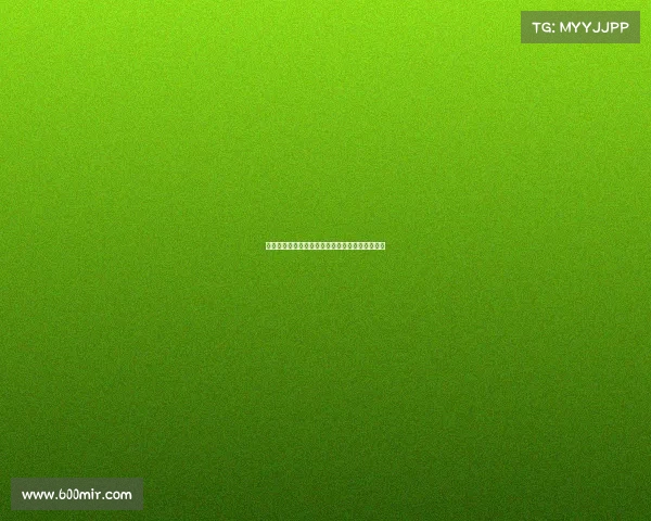 英超赛季盘路分析：各队走势与投注策略全面解读