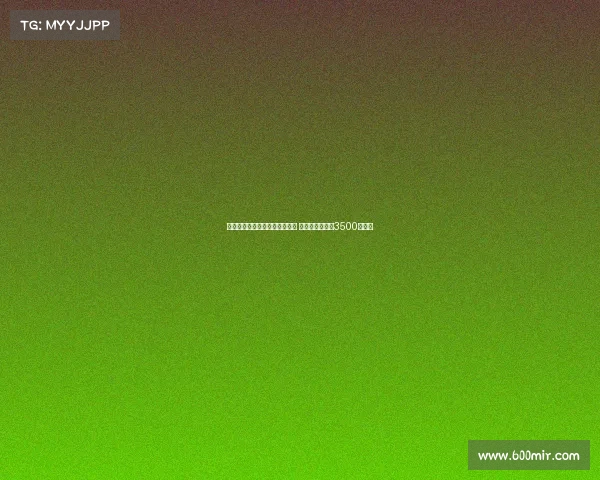 米兰对纽卡提出的佳夫报价不满 预计起售价至少3500万欧元