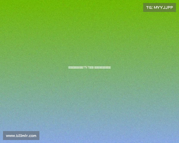 贝尔接替费迪南德担任TNT解说员 主播下赛季英超欧冠赛事