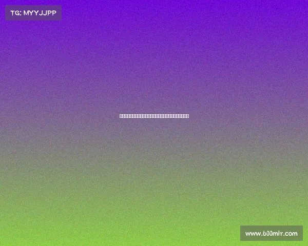 网球比赛种子选手分析与排位系统解析及其对比赛结果的影响